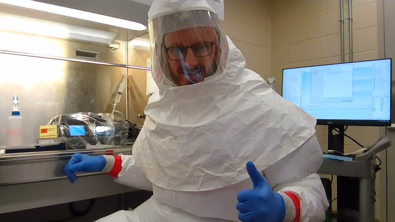 SARS-CoV-2 Infection Model Mice