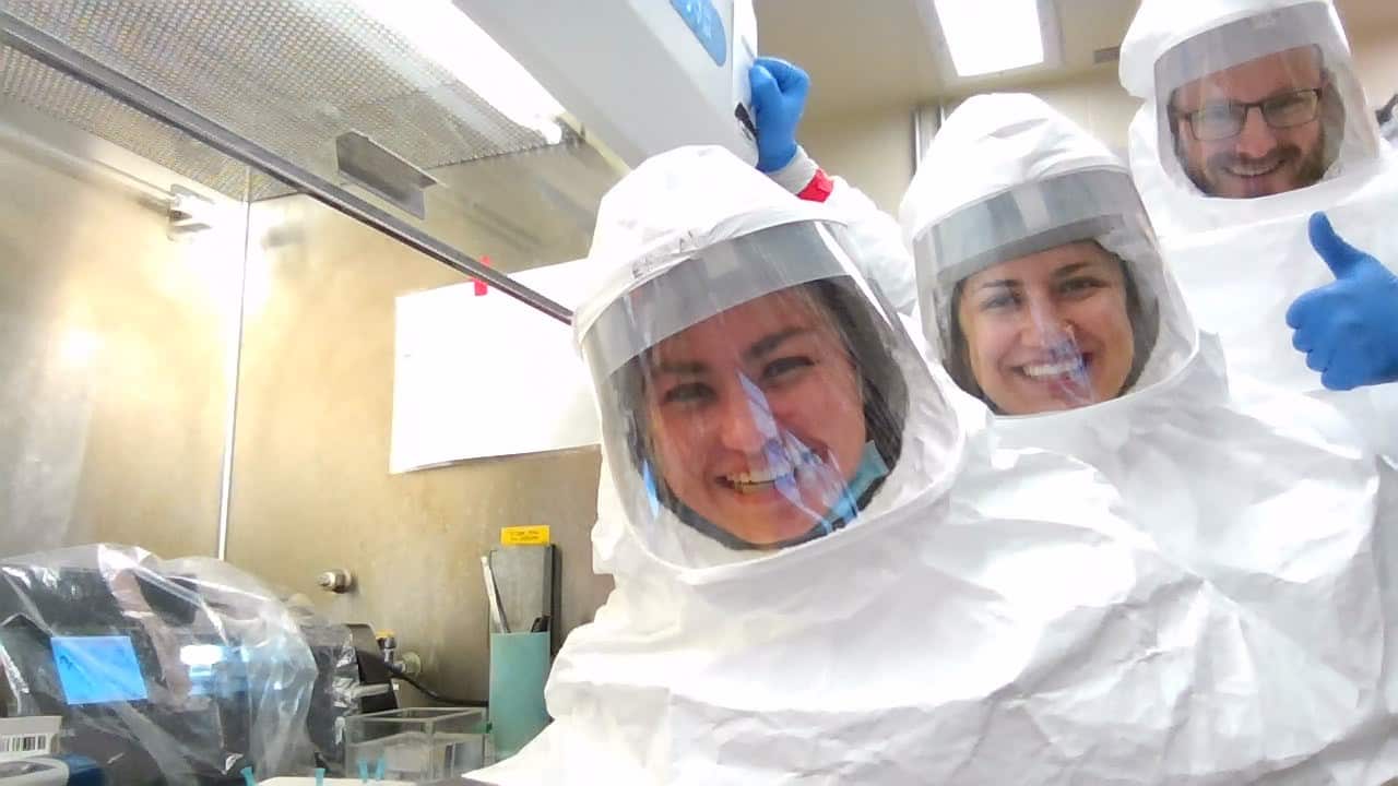 Mice as a SARS-CoV-2 Infection Model