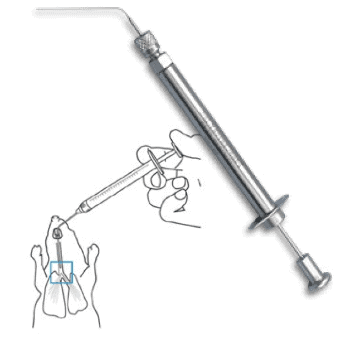 Animal Models for COPD