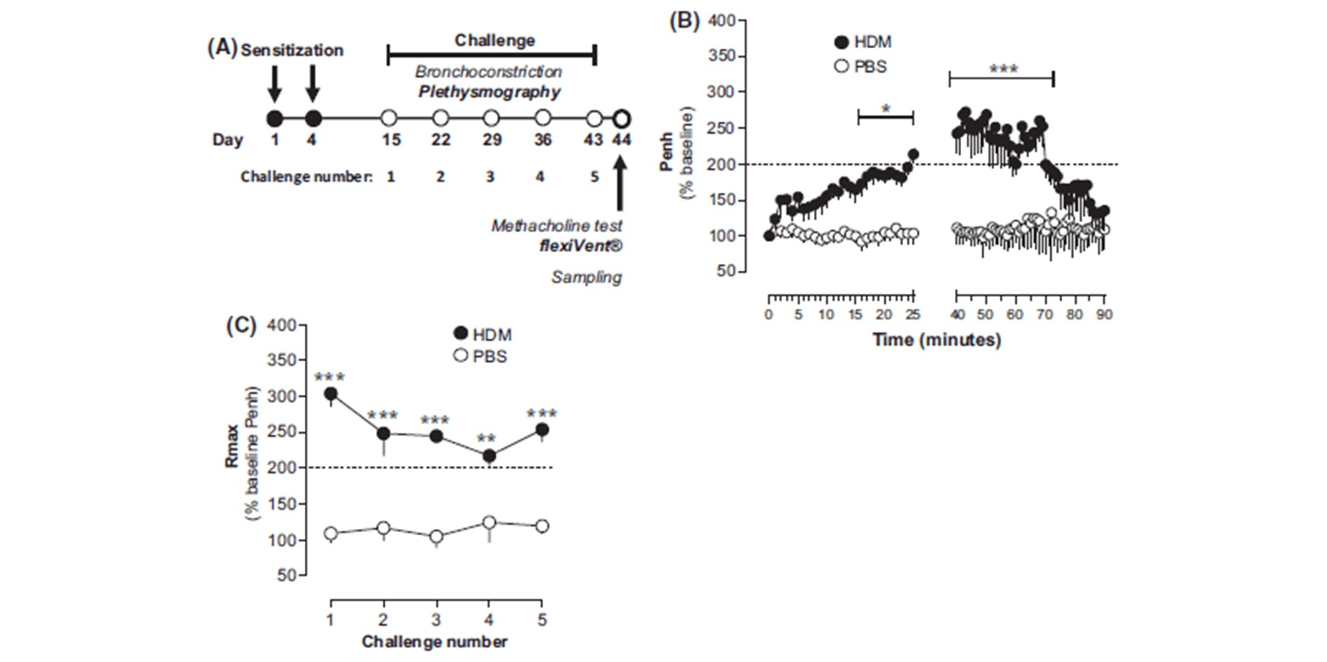 Stunning Hypersensitivity Reactions To Food In Guinea Pigs image