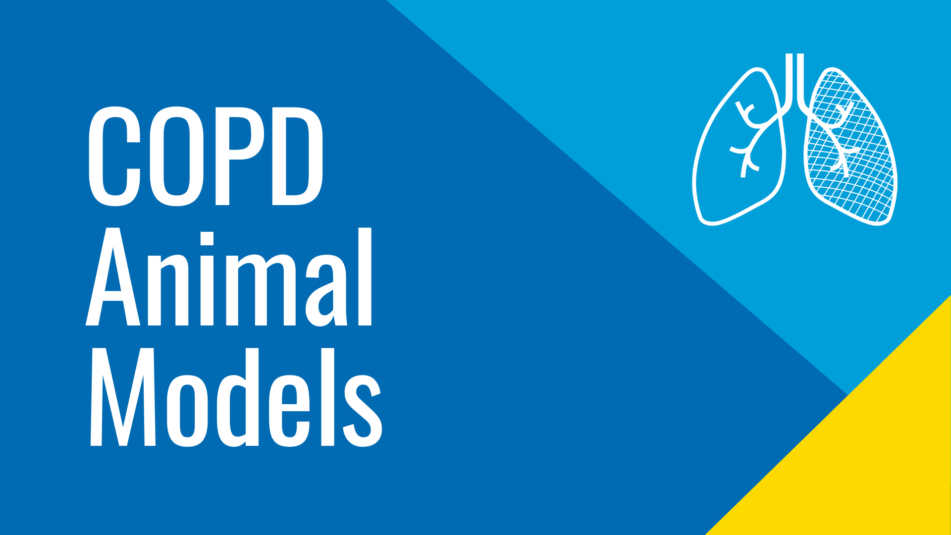 COPD Animal Models SCIREQ