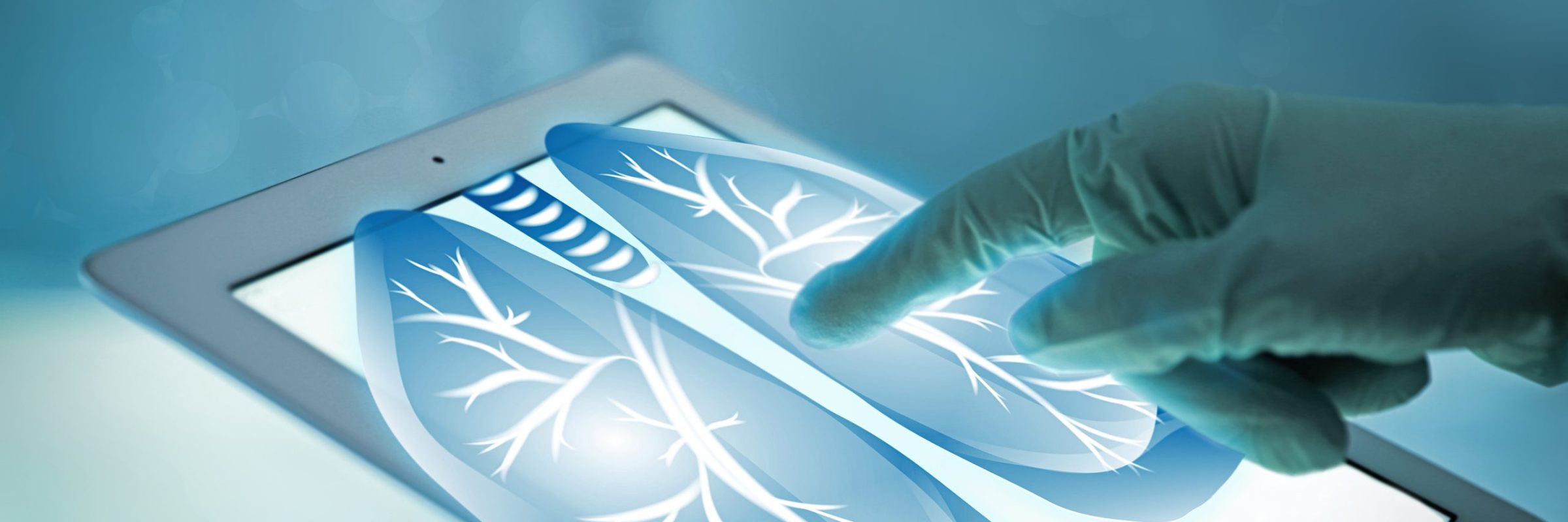 Doctor with tablet, closeup. Lungs on screen. Medicine and modern technology concept.