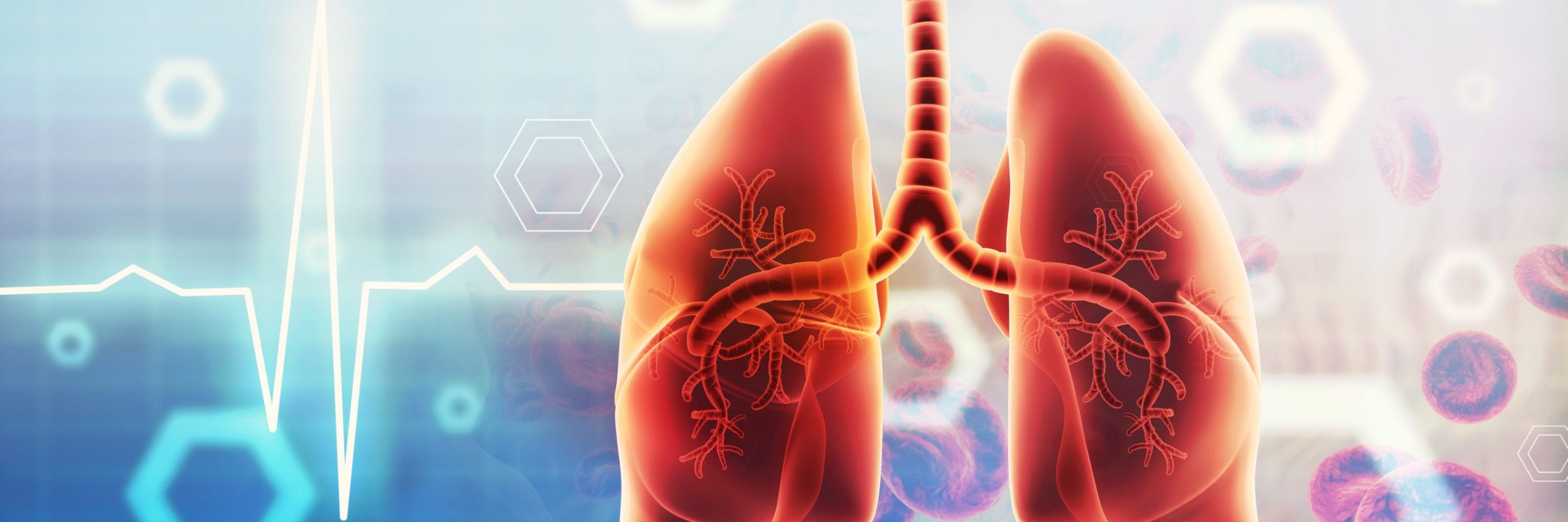 Human,Lungs,Anatomy,Scientific,Background.,3d,Illustration